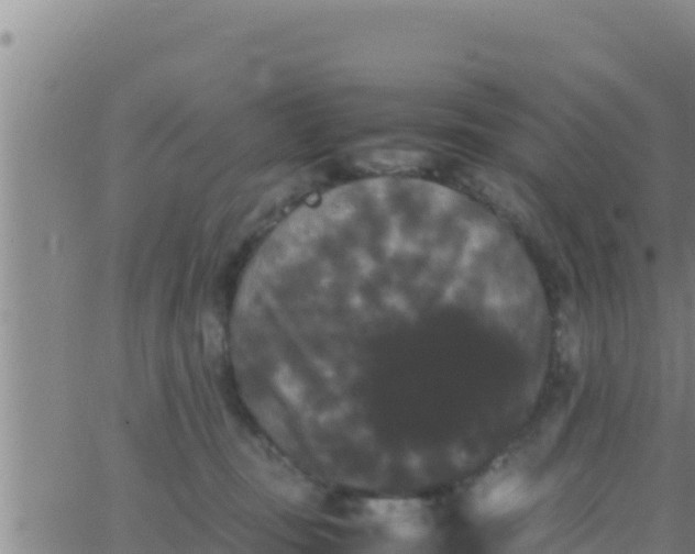 X0000062830371200601271957