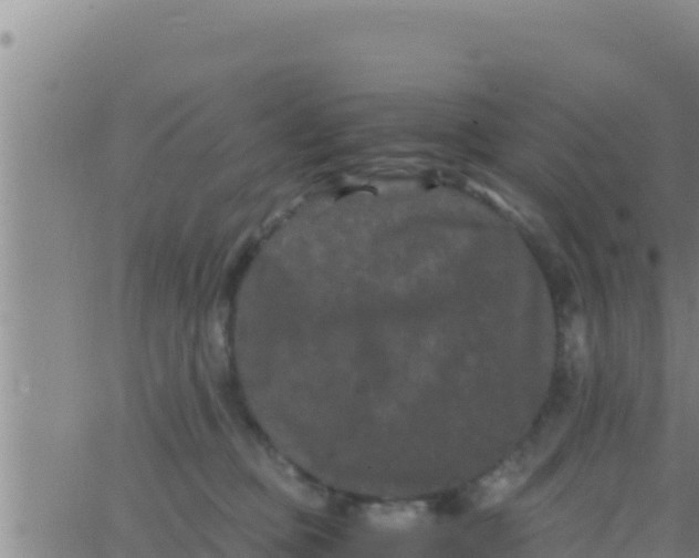 X0000062830373200601271957