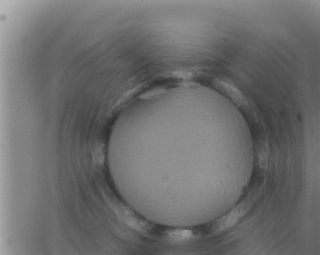 X0000062830374200601271957