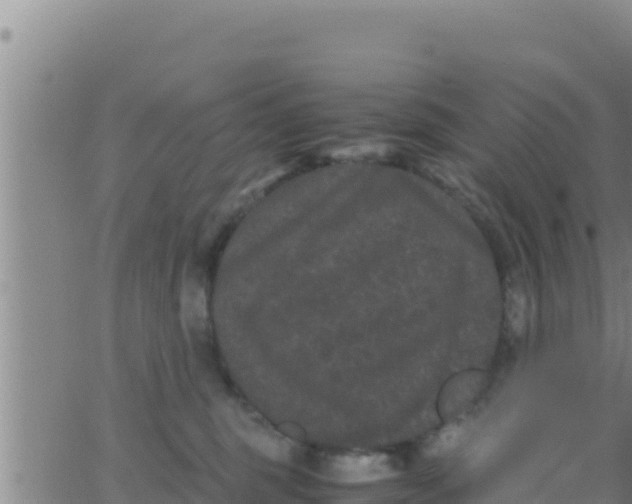 X0000062830375200601271957