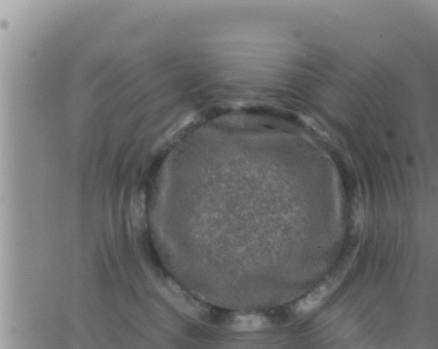 X0000062830376200601271957