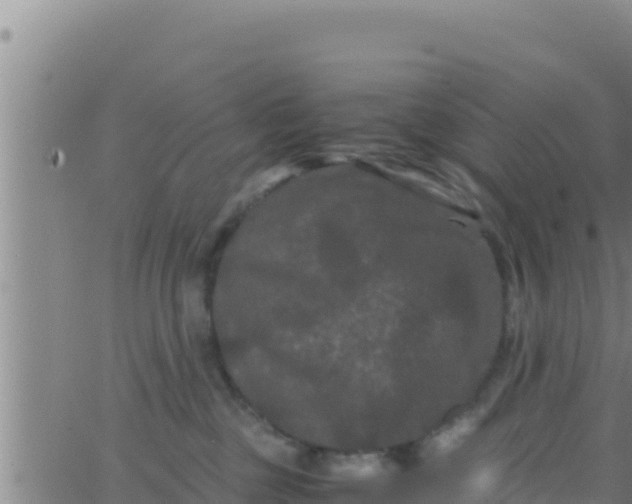 X0000062830377200601271957