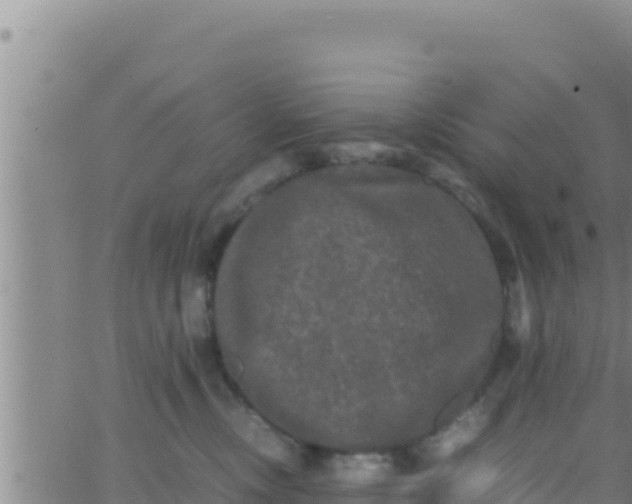 X0000062830378200601271957