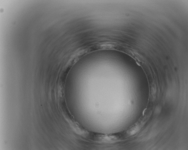 X0000062830379200601271957