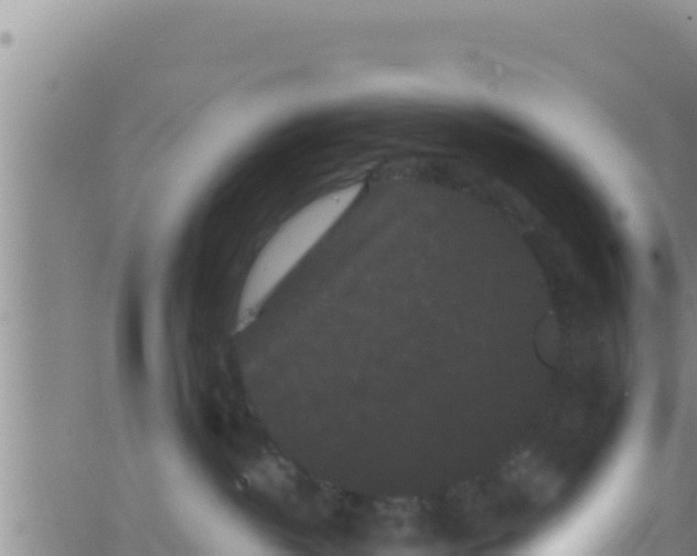 X0000062830382200601271957