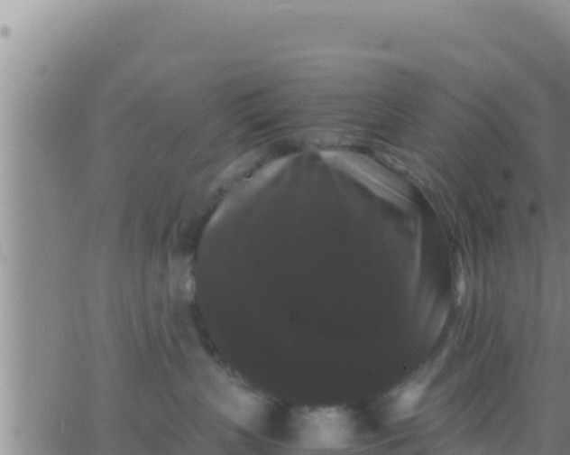 X0000062830383200601271957