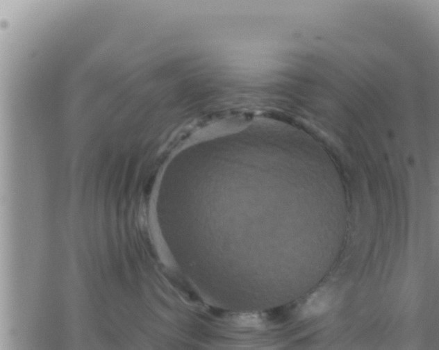 X0000062830384200601271957