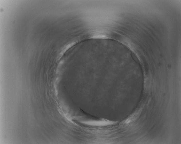 X0000062830385200601271956