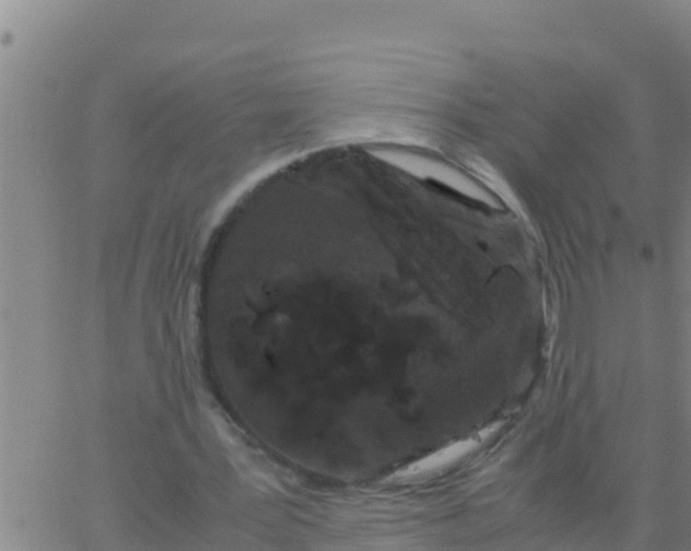 X0000062830387200601271956