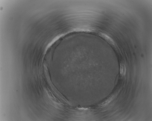 X0000062830388200601271956