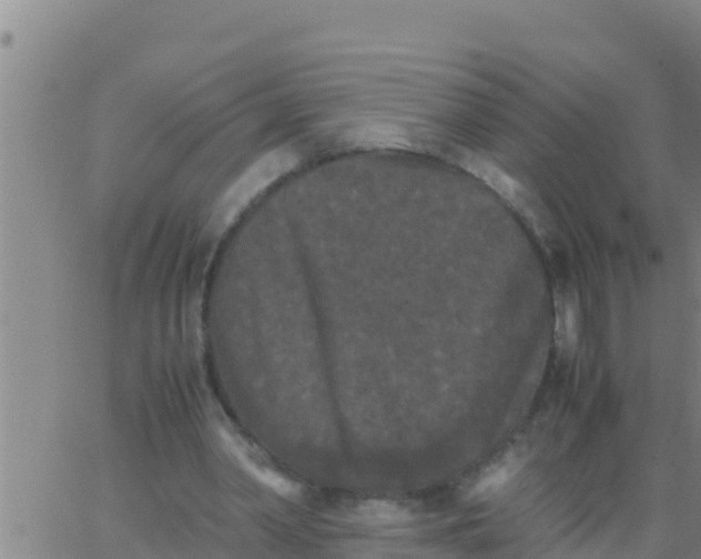 X0000062830390200601271956