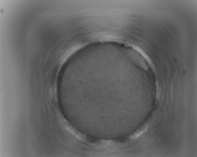 X0000062830391200601271956