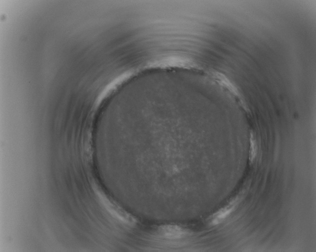 X0000062830392200601271956