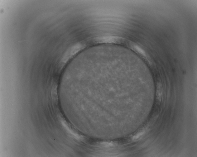 X0000062830394200601271956