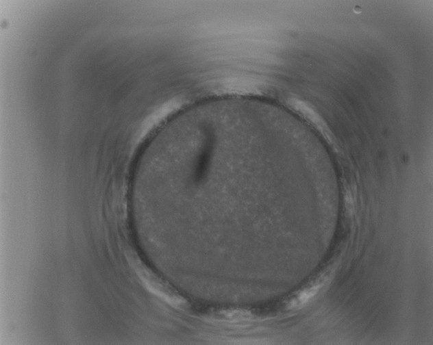 X0000062830395200601271956