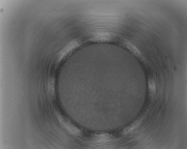 X0000062830396200601271956