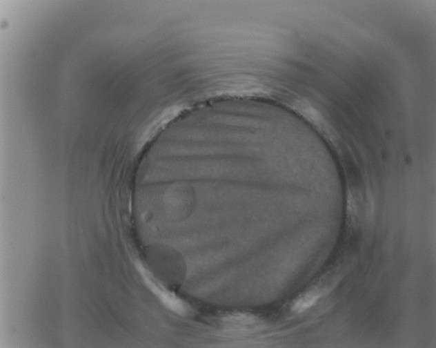 X0000062830397200601271956