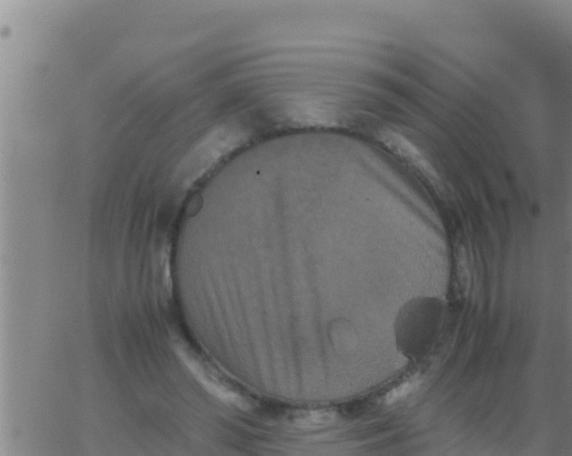 X0000062830398200601271956