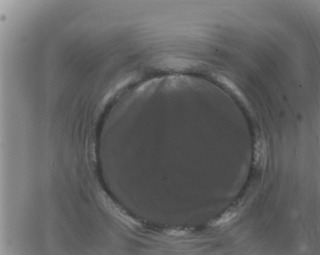 X0000062830399200601271956