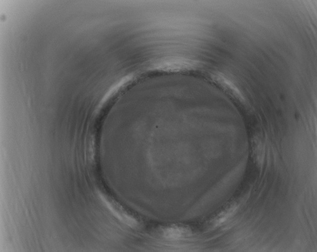 X0000062830400200601271956