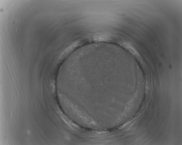 X0000062830401200601271956