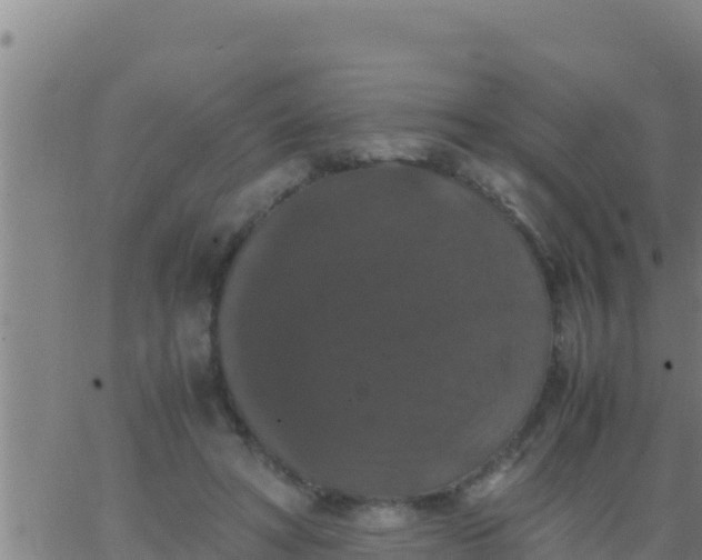 X0000062830402200601271956