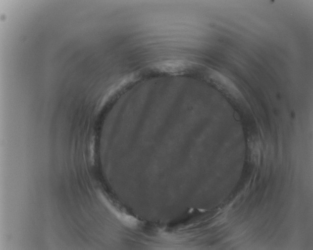 X0000062830404200601271956