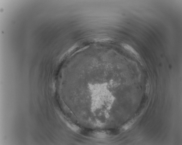 X0000062830405200601271956