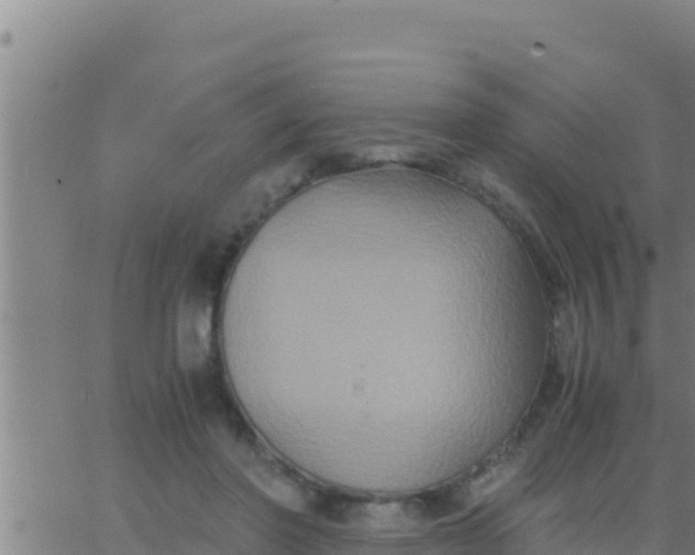 X0000062830406200601271956