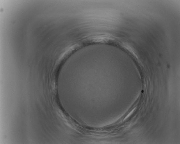 X0000062830407200601271956