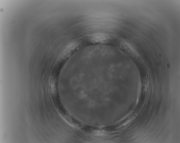 X0000062830408200601271956