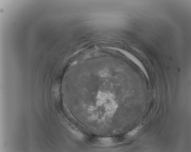 X0000062830409200601271956