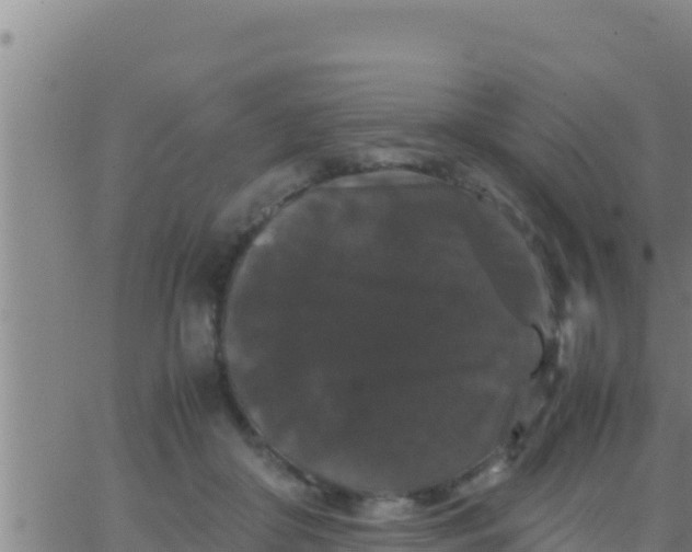 X0000062830410200601271956