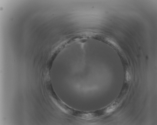 X0000062830411200601271956