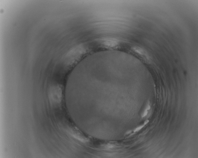 X0000062830412200601271956