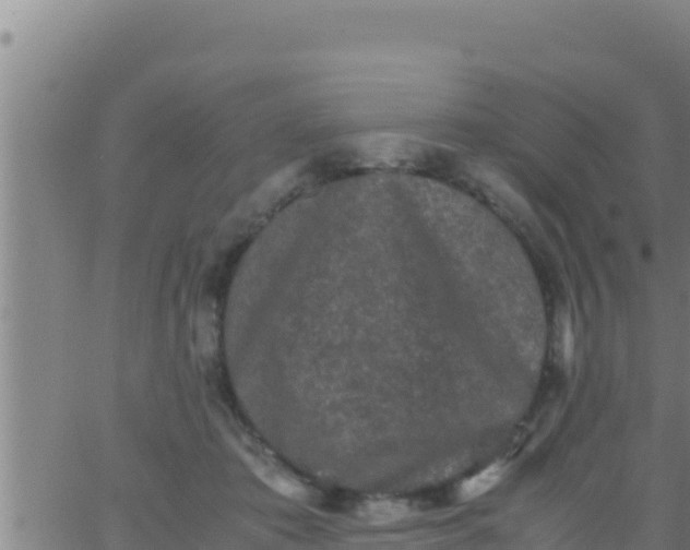 X0000062830413200601271956