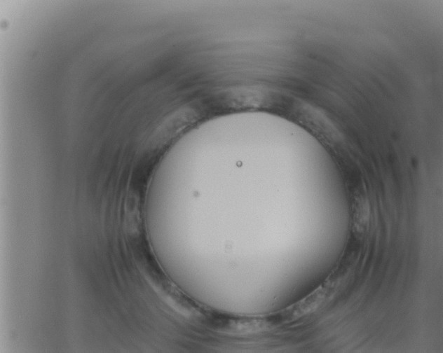 X0000062830414200601271956