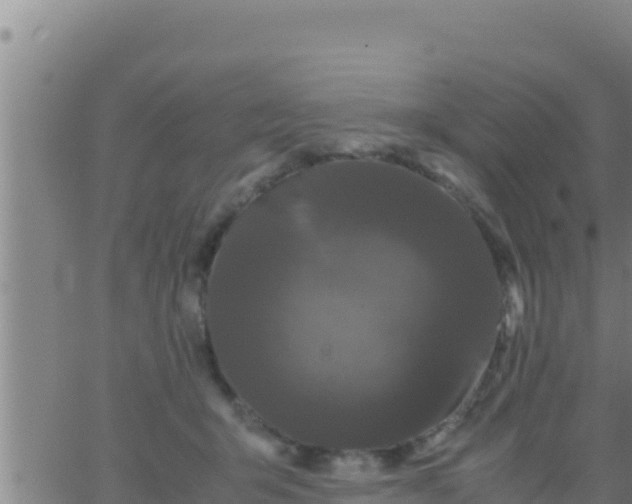 X0000062830415200601271956