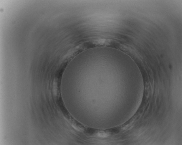 X0000062830416200601271956