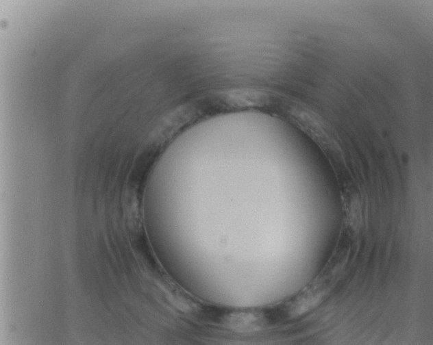 X0000062830418200601271956