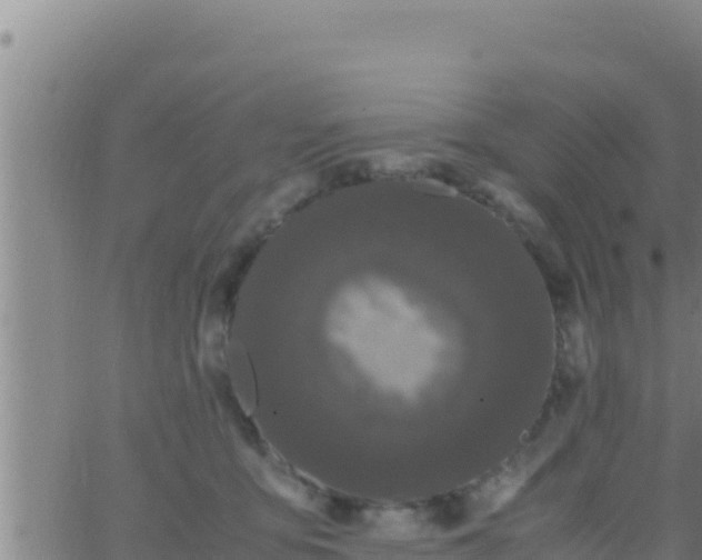 X0000062830419200601271956