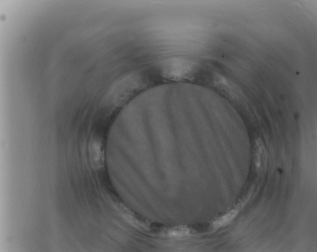 X0000062830420200601271956