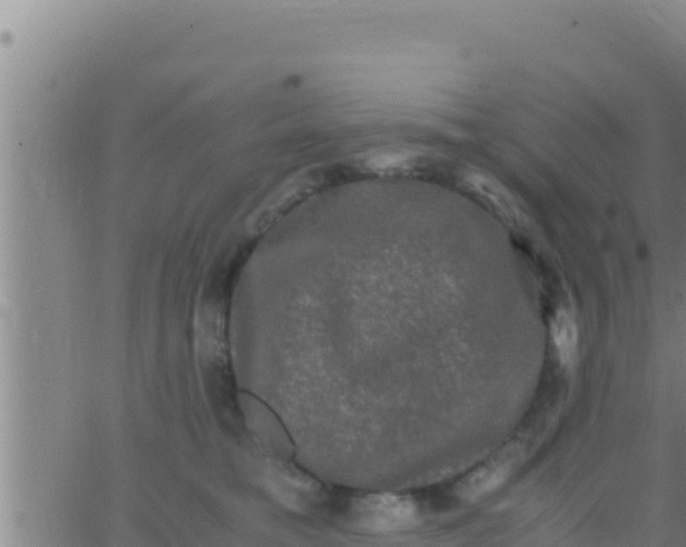 X0000062830421200601271956