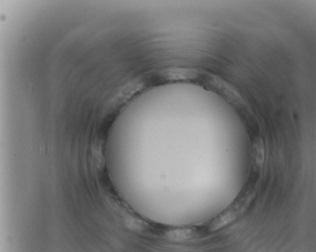 X0000062830422200601271956