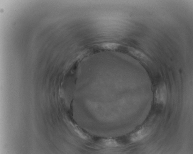 X0000062830424200601271956