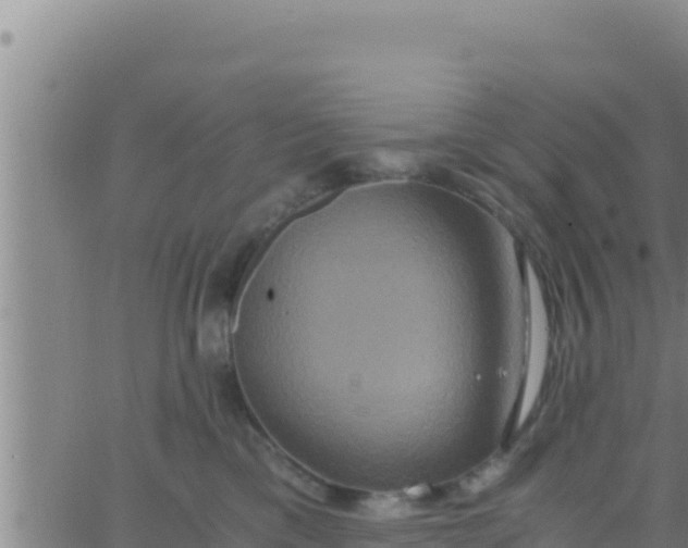 X0000062830425200601271956