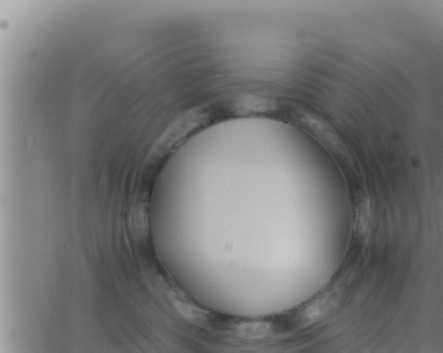 X0000062830426200601271956