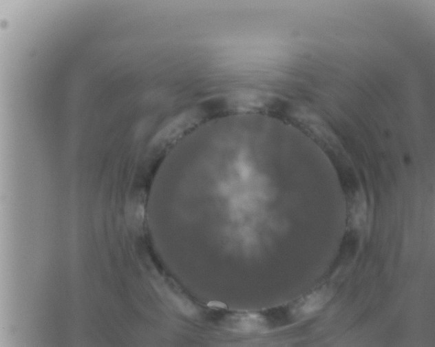 X0000062830427200601271956