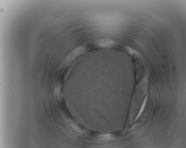 X0000062830428200601271956