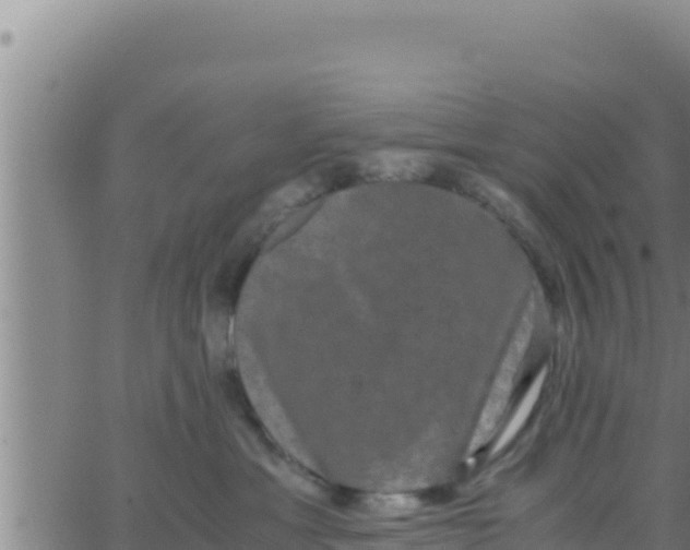 X0000062830429200601271956